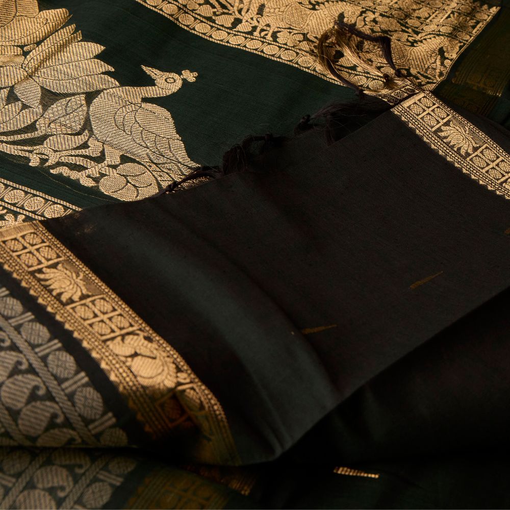 Kanchi Cotton 11-0002