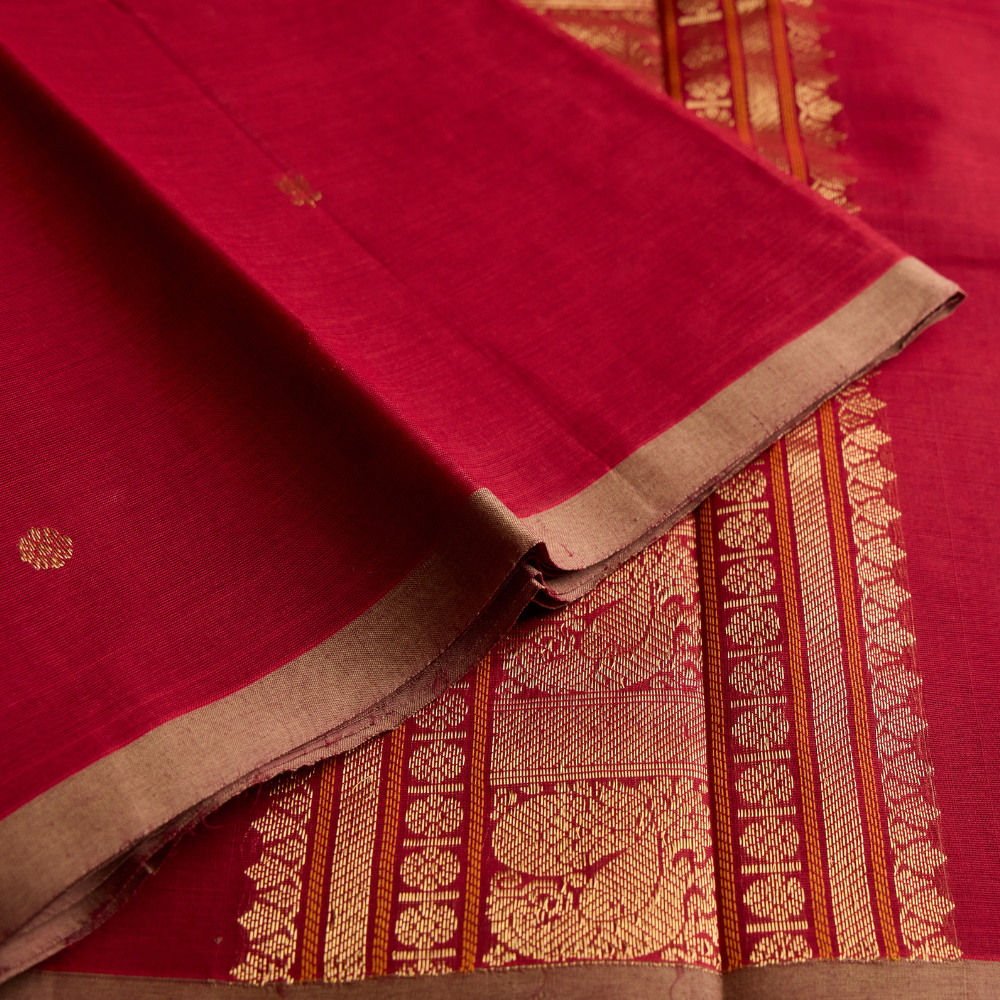 Kanchi Cotton 3-0001