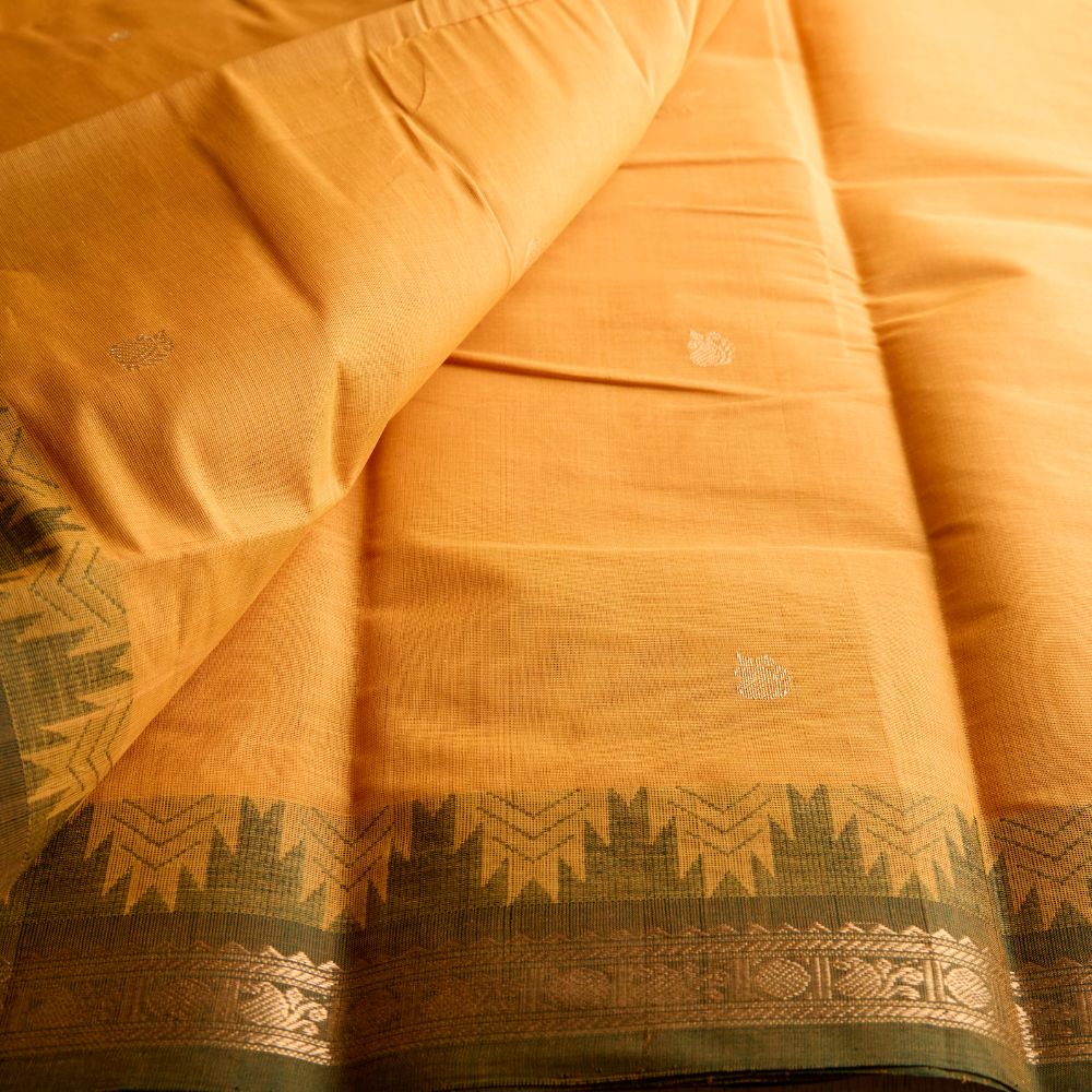 Kanchi Cotton 7-0003