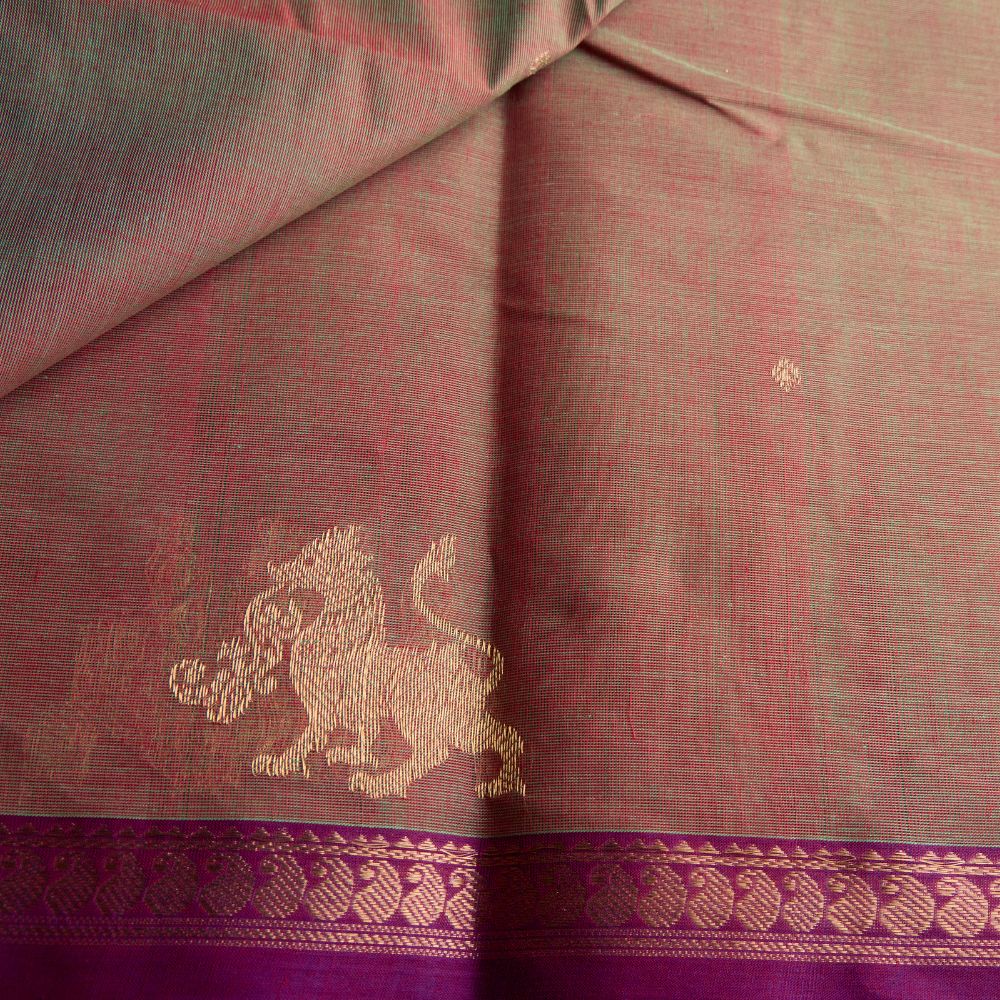 Kanchi Cotton 7-0002